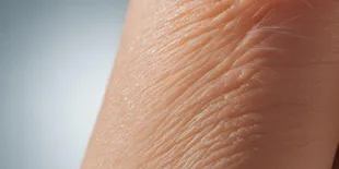 Apa Arti Skin Barrier: Memahami Lapisan Pelindung Kulit yang Vital