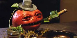 Apa Kata Bos Studio Film Hollywood Soal Rotten Tomatoes?