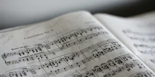 Arti dan Makna Lagu Lir Ilir yang Ternyata Menyimpan Pesan Kehidupan dan Ajaran Islam