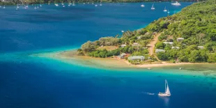 Bagaimana Rasanya Menyelam Bersama Paus Raksasa?