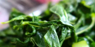 Baking Soda dan Cuka, Kunci Daun Singkong Tetap Cantik Saat Direbus