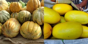 Banyak Diburu Saat Puasa, Berikut 8 Manfaat Blewah dan Timun Suri untuk Kesehatan