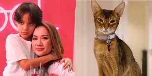 Baru Dua Bulan Sejak Kepergian Ashraf Sinclair, Kucing BCL Meninggal Dunia