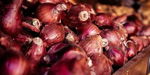 Bawang Merah Sering Busuk? Begini Solusi Sederhananya