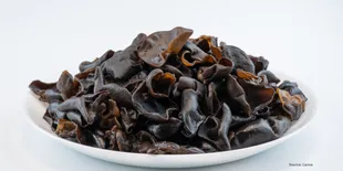 Begini Cara Menyimpan Jamur Kuping di Freezer agar Tahan Lama