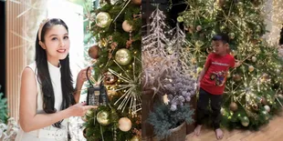 Beli Pohon Natal dari Amerika, Sandra Dewi Tak Mau Bicara Harga