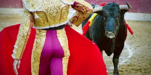 Berani Hadapi Banteng di Festival Zapote?