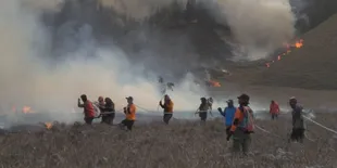 Bukit Teletubbies Gunung Bromo Terbakar, Pihak TNBTS Cari Tahu Penyebabnya
