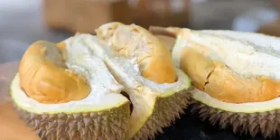 Car Menikmati Durian Tanpa Khawatir Kolesterol, Wajib Coba