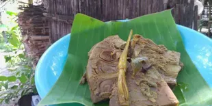 Cara Memasak Nangka Muda yang Lezat dan Tidak Hancur