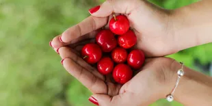 Cara Menanam Ceri Barbados (Acerola) agar Tumbuh Subur dan Cepat Berbuah
