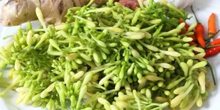 Cara Menghilangkan Rasa Pahit Bunga Pepaya dengan Teknik Sederhana