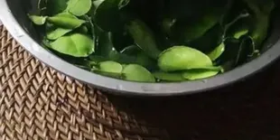 Cara Menyimpan Daun Jeruk, Agar Tetap Segar dan Awet Hingga 3 Bulan