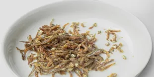 Cara Menyimpan Ikan Teri agar Awet Hingga 6 Bulan di Kulkas