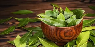 Cara Menyusutkan Kolesterol dan Asam Urat dengan 8 Daun Ajaib, Rahasia Menyeduh yang Harus Kamu Coba