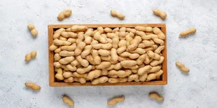 Cara Mudah Menyimpan Kacang Tanah agar Tahan Lama dan Tetap Segar