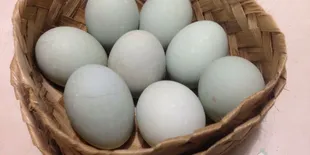 Cara Praktis Mengolah Telur Bebek yang Tidak Beraroma Kuat