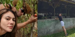 Cara Sederhana Wulan Guritno Dapatkan Kebahagiaan, Kasih Makan Sapi - Panen Sayur Bareng Sabda Ahessa sang Pacar