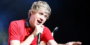 Cerita Unik di Balik 19 Tahun Perjalanan Niall Horan