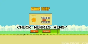 'Chuck Norris' Hancurkan Arena Permainan Flappy Bird!