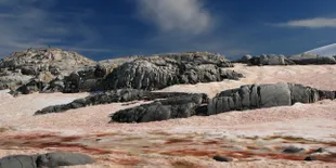 Cicipi Salju Warna Pink dengan Rasa Semangka Ini, Yuk!