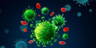 Covid-19 di India Menggila, Artis Bollywood dan Konglomerat Kabur - Rela Bayar Ratusan Juta Sewa Jet Pribadi