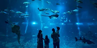 Dari Kedalaman Laut hingga Kemewahan Pulau Tropis, Ini Dua Spot Familyable di Resorts World Sentosa yang Wajib Kamu Jelajahi!