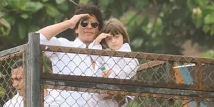 Demi AbRam, Shahrukh Khan Menjelma Jadi Spider-Man Dadakan
