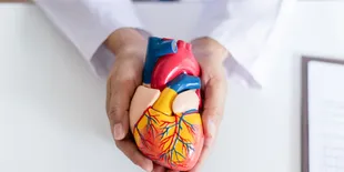 Deteksi Dini Masalah Jantung, Kenali Tanda dan Gejala yang Perlu Diwaspadai!