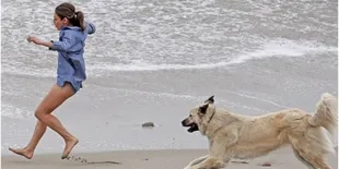 Dikejar Anjing Galak, Wanita Ini Panik Lalu Jatuh ke Comberan
