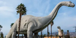 Dinosaurus Bisa Kamu Jumpai di Tiongkok