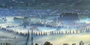 Domba Khas Banjarnegara Bikin Keseruan di Dieng Culture Festival 2019 Makin Pecah
