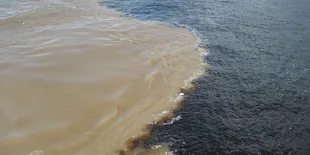 Encontro das Aguas, Pertemuan Unik Dua Aliran Sungai