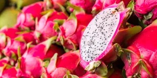 Festival Crossborder Keerom 2019 Sajikan Kesegaran Buah Naga Terbaik, Mau Coba?