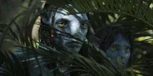Film 'AVATAR 3' Baru Tayang Desember 2025, Sutradara Sudah Siapkan 'AVATAR 5' untuk 19 Desember 2031