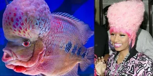 [Foto] Gaya Nicki Minaj Mirip Ikan Lou Han?