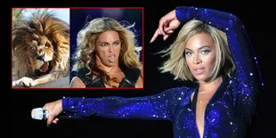 [Foto] Ups, Foto Singa Ini Menyerupai Beyonce!