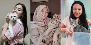 Gemesnya Kebangetan, Ini 8 Potret Manis Kebersamaan Seleb Bareng Kucing Peliharaan Terbaru Ada Nagita Slavina