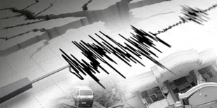 Gempa Jepang Magnitudo 6,9 Picu Munculnya Tsunami 20 Sentimeter di Miyazaki