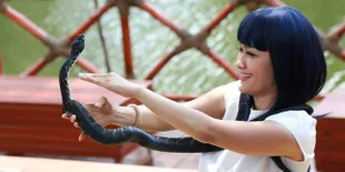 Gosip Ayu ke Amsterdam Dengan Raffi Ahmad, Ini Kata Julia Perez