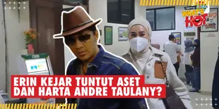 Gugat Balik Andre Taulany, Erin Hanya Kejar Aset dan Harta Kekayaan?