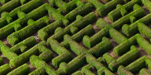 Hawaii Punya Labirin Nanas, Lho!