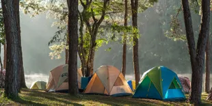 Hobi Kamping? Kunjungi Spot Terbaik Berikut, Yuk!