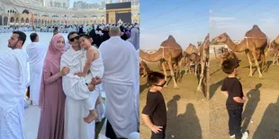 Hobi Koleksi Hewan, Potret Athar Anak Citra Kirana Kini Minta Unta Dibawa Pulang Saat Ikut Umrah