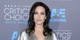Ini Lho Pekerjaan Angelina Jolie Usai Pisah Dari Brad Pitt