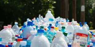 Jangan Salah Berkat Sampah Seseorang Mampu Bikin Startup Berguna, Ini Buktinya!
