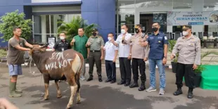 Jelang Idul Adha, SCTV dan Indosiar Serahkan 65 Hewan Kurban untuk Masyarakat