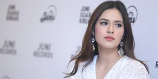 Kabulkan Mandat Netizen, Raisa 'Temui' Sutopo Sang Humas BNPB