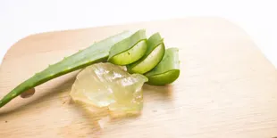 Keajaiban Lidah Buaya, Manfaatnya untuk Kesehatan dan Kecantikan yang Tak Terduga!