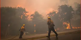 Kebakaran Hutan Meluas di Los Angeles, Rumah Artis Hollywood Ikut Terancam